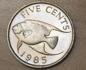 1985 Bermuda 5 Cents Blue Angelfish Double Die Error - Picture 1 of 4