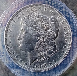 1883 O Morgan Silver Dollar ANACS Graded AU 55 Condition. - Picture 1 of 4