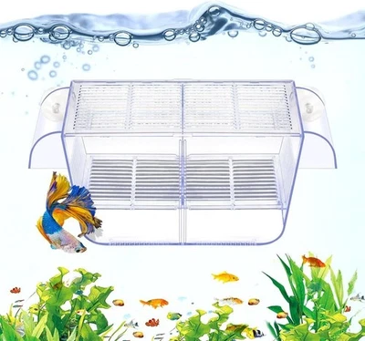 Caja de cría de peces acuario tanque de retención transparente caja de aislamiento de peces Acclimati Foto 1 de 4