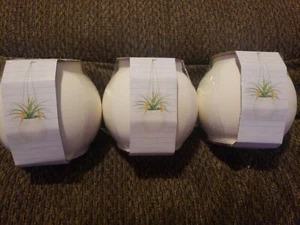 Keramik Pflanzenhänger hängend Pflanzgefäße Zimmerpflanzen Pflanze Wandhänger 3 Stück - Bild 1 von 2