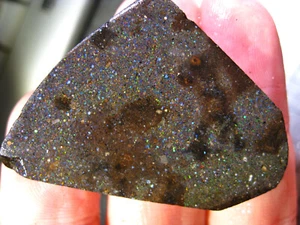 57 cts HONDURAS Roh BLACK Matrix Opal Rough SAMMLERSTEIN ROH Stein - Bild 1 von 3