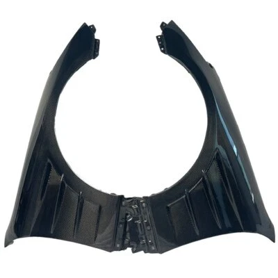 Guardabarros delantero de fibra de carbono para Hyundai Genesis Coupé 2010-2016 Foto 1 de 4