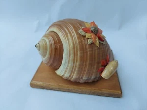 Interesting Vintage Shell Large Seashell Music Box, How Great Thou Art - Imagen 1 de 6