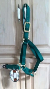 HALTER HEBILLA DE NAILON VERDE CAZADOR CAZADOR No AJUSTABLE PEQUEÑO - Imagen 1 de 1
