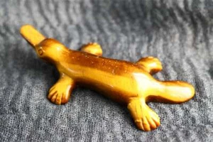 3.6" Natural Carved tiger eye platypus Reiki Crystal Creative Skull Decor 1pc - Picture 1 of 8
