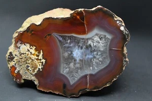 Condor agate collector specimen (fluorescent) - Picture 1 of 5