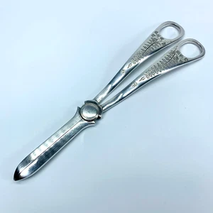 Antique Grape Shears Scissors Silver Plated Stamped WH&S Cultery Vintage - Picture 1 of 18