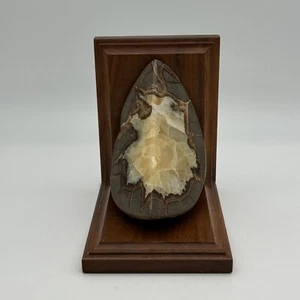 Septarian Nodule Geode auf Holzsockel Buchstütze handgefertigt von den Weston's Utah - Bild 1 von 6