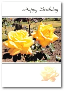 Yellow Garden Rose - Birthday Card With Bible Text - Psalm 145:9 - EB8816 - Picture 1 of 1