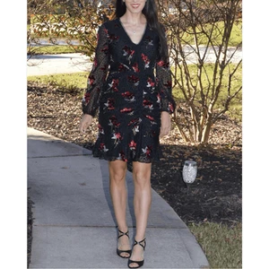 SHOSHANNA Juliette Floral Burnout Velvet Mini Dress Size 8 Black Red Romantic - Picture 1 of 16