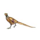One Pheasant Sculpture Made Of Bronze Sculpture on Marble Socket ND-10