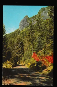 76 Union Öl Vintage McKenzie Pass Kaskade Berge Oregon Postkarte - Bild 1 von 2