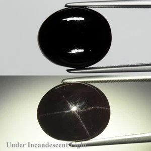💎 8,75 quilates Ovalado Natural Rojizo Oscuro Púrpura 4 Rayos Estrella Rodolita Granate - Gema - Imagen 1 de 6
