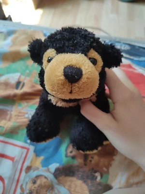 Ganz Webkinz Sun Bear HM613 Stuffed Plush Toy NO CODE Rare Hard To Find Y2K - Image 1 of 4