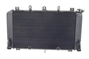 KAWASAKI 2020 2021 2022 2023 2024 Z900 OEM RADIADOR DE REPUESTO (NUEVO) - Imagen 1 de 3