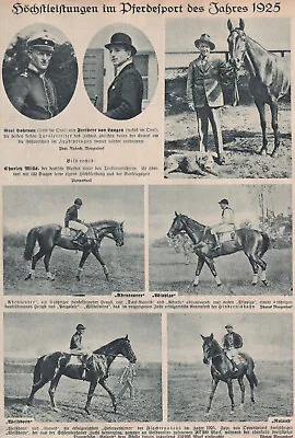 Höchstleistungen Im Pferdesport  1925 • 8.40€