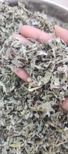 Artemisia Leaves-Mugwort Leaves-Wormwood-Artemisia absinthium-Raw herbs - Picture 1 of 4