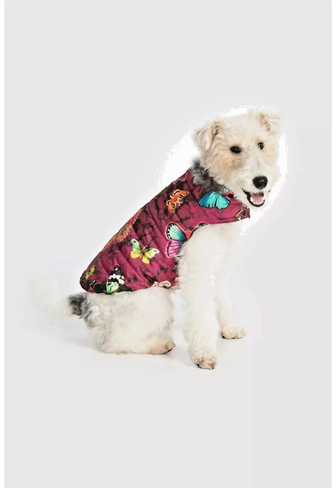 Brand New JOHNNY WAS "HOLLY" DOG JACKET - Image 1 of 1