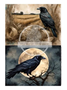 Crow Lover's Duo | Papel de arroz A4 | Papel para decoupage | Decoupage Central - Imagen 1 de 1