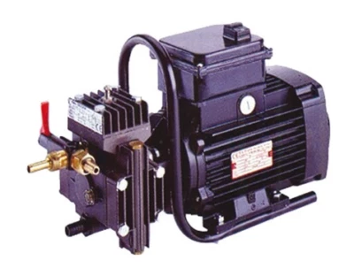 POMPA IRRORAZIONE DL218 motore elettrico monofase 1 hp 18 lt/min. - 0/20 atm. - Immagine 1 di 3