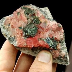 Rhodochrosit mit Galena, Sweet Home Mine, Alma, Colorado - Bild 1 von 8