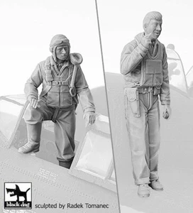 Black Dog 1/32 USAAF Fighter Pilots 1940-1945 Segunda Guerra Mundial en tierra #1 (2 figuras) F32137 - Imagen 1 de 1