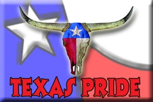 Texas Pride Magnete Sie wählen das gewünschte Design auf einem 3 Zoll x 2 Zoll Magneten - Bild 1 von 13
