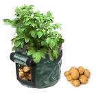 with Handles Garden Planting Bag Thicken Planting Container Bag  Indoor