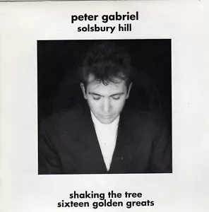 PETER GABRIEL SOLSBURY HILL FRENCH ONE SIDED 45 PROMO 7" - Picture 1 of 1