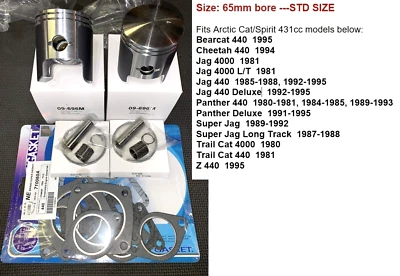 1980 81-1995 Arctic Cat 431 Cheetah_Panther_Jag_Trail Cat 440 Piston Rebuild KIT - Image 1 of 2