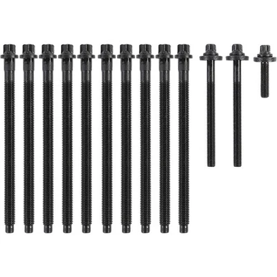 N12 N14 Head Bolts For 2007-12 Mini Cooper Countryman Turbo 1.6L DOHC N16 N18 Foto 1 de 2