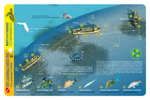 Fort Lauderdale Wreck Trek Waterproof Dive Card featuring the Tracey - Imagen 1 de 2