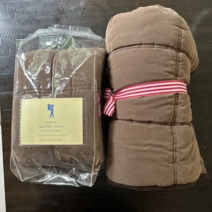2 Pottery Barn Kids Dylan Quilted Euro Sham Brown Ivory - Picture 1 of 5
