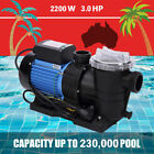 3.0 Hp High Performance Pump, 220/240V, 1.5 or 2 inch plumbing Pool Pump