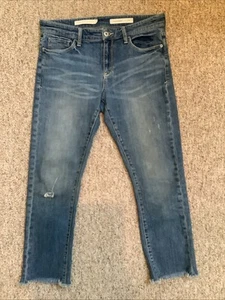 Pilcro And The Letterpress Anthropologie Slim Boyfriend Jeans Size 28 - Picture 1 of 8