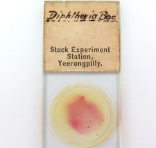 .RARE 1890s “DIPHTHERIA” SLIDE. STOCK EXPERIMENT STATION, YEERONGPILLY QLD.