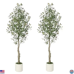 5FT Faux Olive Tree Indoor Plant with Realistic Trunk & Leaves, 2 Pack - Picture 1 of 6