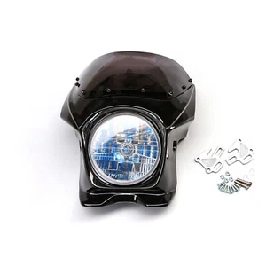 Carenado superior usado + kit de faros para Yamaha ZRX400 XJR400 XJR1300 - Imagen 1 de 10