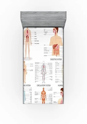 Ambesonne Human Anatomy Fitted Sheet Twin Size - Image 1 of 4