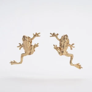 Women's Earrings Frog With Animal Ladies Lobe Golden Gold Special Needs Fidget - Picture 1 of 10