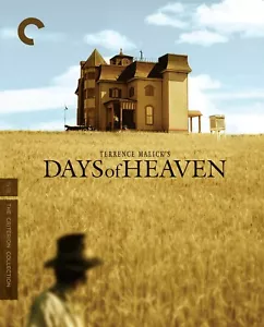 Terrence Malick's "DAYS OF HEAVEN" (DVD, 1978) Criterion Collection - Imagen 1 de 1