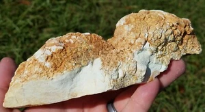 EGGSHELL COLORED PRYSTENE PRISTINE ROUGH FROM ITALY GREAT FOR INTARSIA 1LB 5.9OZ - Bild 1 von 7