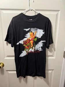 Camiseta Stone Temple Pilots Tour 1994 Para Hombre L Negra Gráfica De Colección Tultex Giant - Imagen 1 de 4