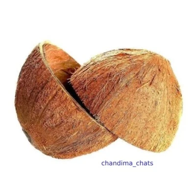 Cuenco de cáscara de coco 100 % natural orgánico de Ceilán 2 piezas Foto 1 de 2