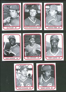 1981 TCMA Quad City CUBS #11 JIM WALSH Hinsdale INDIANA