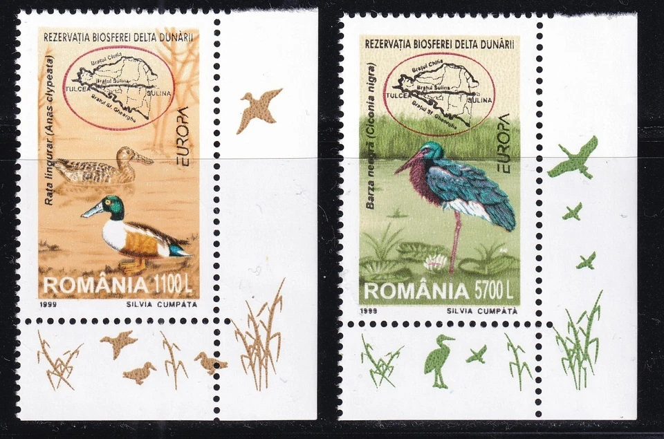 Rumania - MI 5414-5415 / Scott 4300-4301 Danubio Delta Birds, Juego inferior derecho Foto 1 de 1