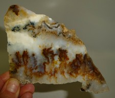 Cemitério Plume Agate Polido Laje fedem água Oregon 88 Gramas