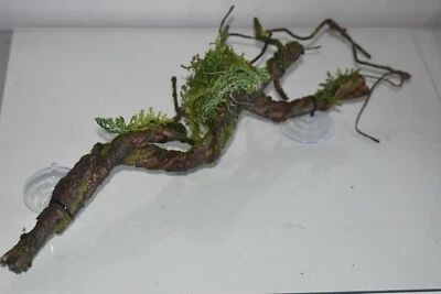 FMR Tropische gedrehte gelockte Weinrebe Pflanze & Sauger ca. 55 x 10 x 10 cm zum Ausräumen