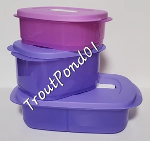 Tupperware Crystalwave Microwave Bowl Set 3 Rectangle Divided + Mini Dish Purple - Picture 1 of 22