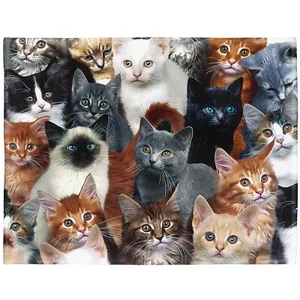 Decke Katzen Kuscheldecken Weich Flanell Fleecedecke Bettüberwurf150x200cm - Bild 1 von 6